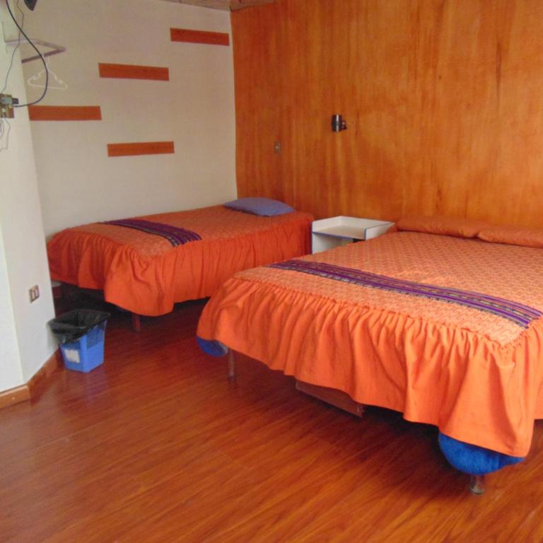 EUCALYPTUS POTOSI only dollars or euros are accepted - Habitación Doble Estándar con 2 camas dobles - 3