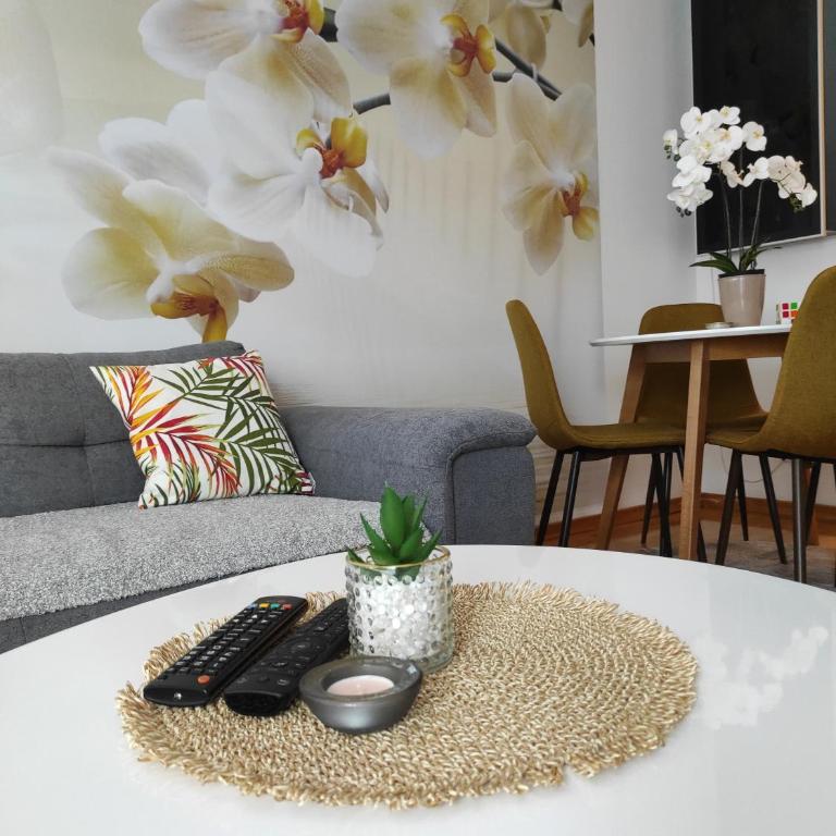 Orchis - One-Bedroom Apartment - 4