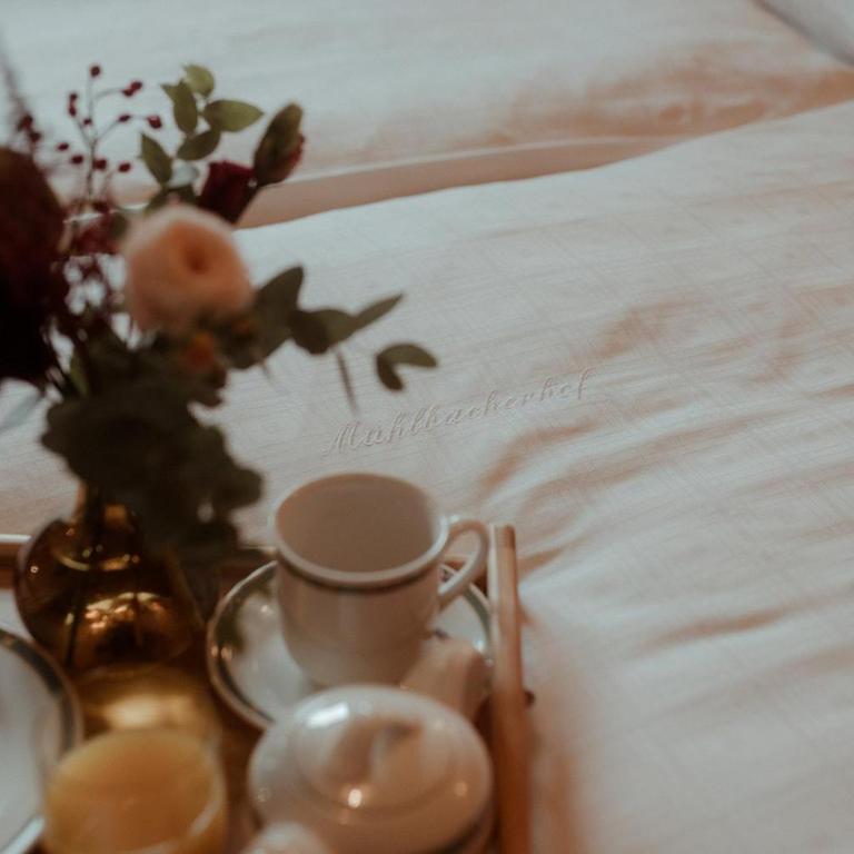 Pension Mühlbacherhof - Doppelzimmer mit Dusche - 11