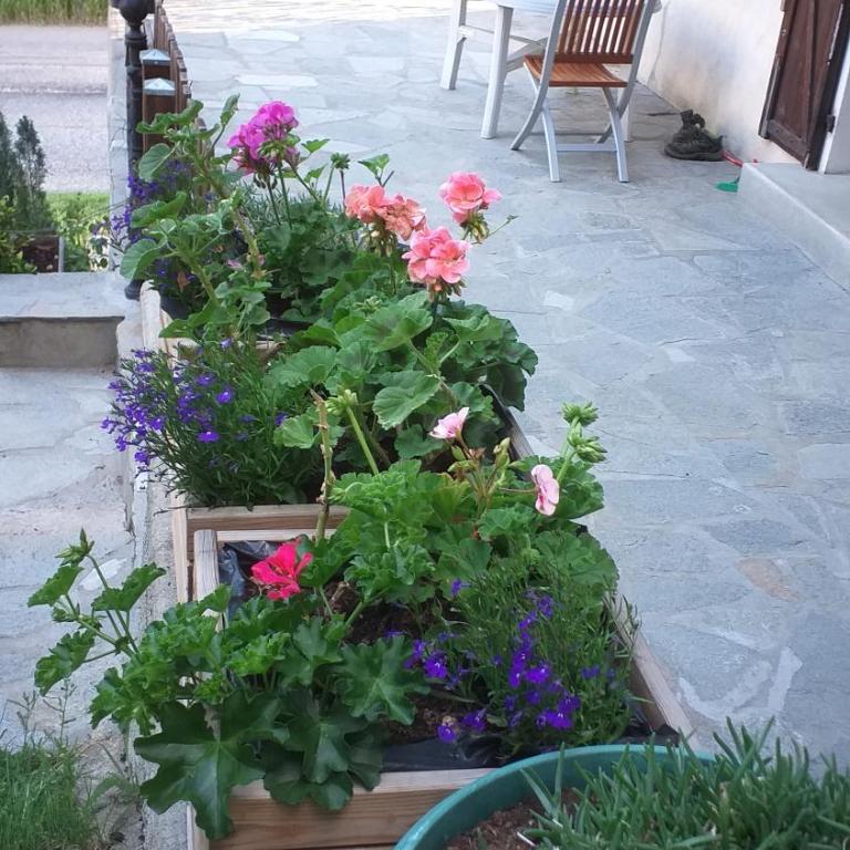 Les VIGNEAUX Hautes Alpes, Appartement 4 personnes, avec belle terrasse - Appartement 2 Chambres - 10