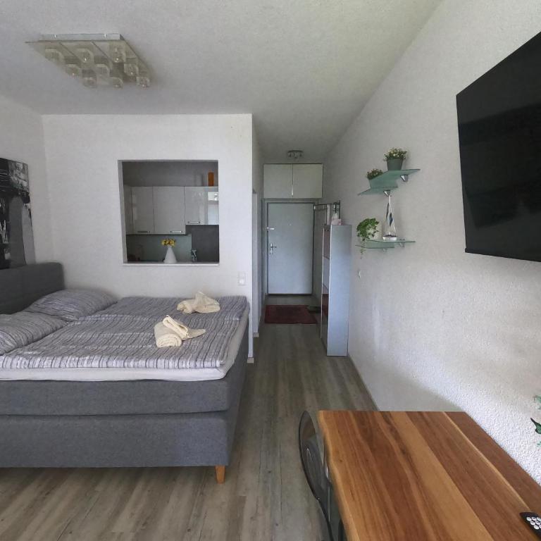 Apartment mit Seeblick & Seezugang - Apartment mit Seeblick - 4