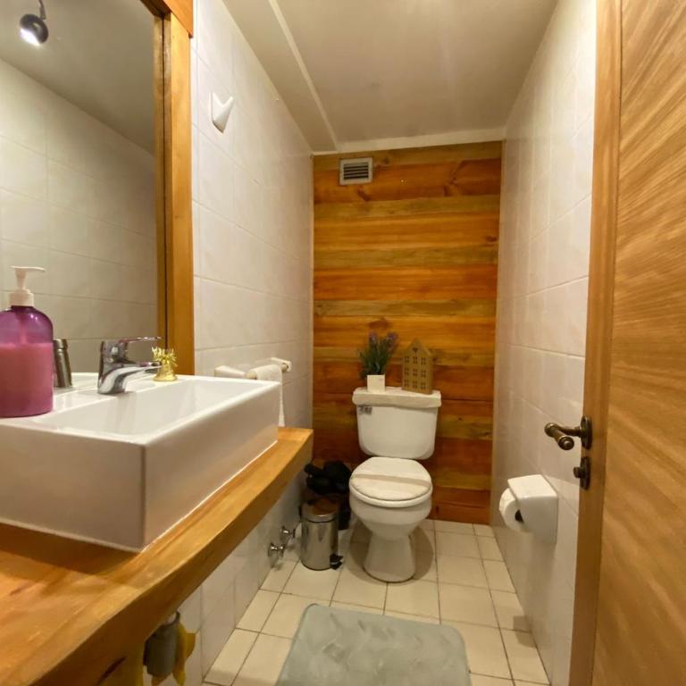 Departamento Céntrico - Estacionamiento Privado - Piscina - Two-Bedroom Apartment - 23