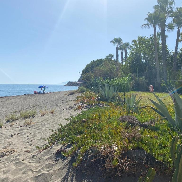 Apartamento Estudio Playa Beach - Apartamento Estudio - 1 cama doble - 67