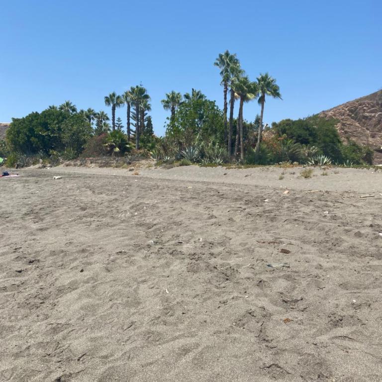 Apartamento Estudio Playa Beach - Apartamento Estudio - 1 cama doble - 74