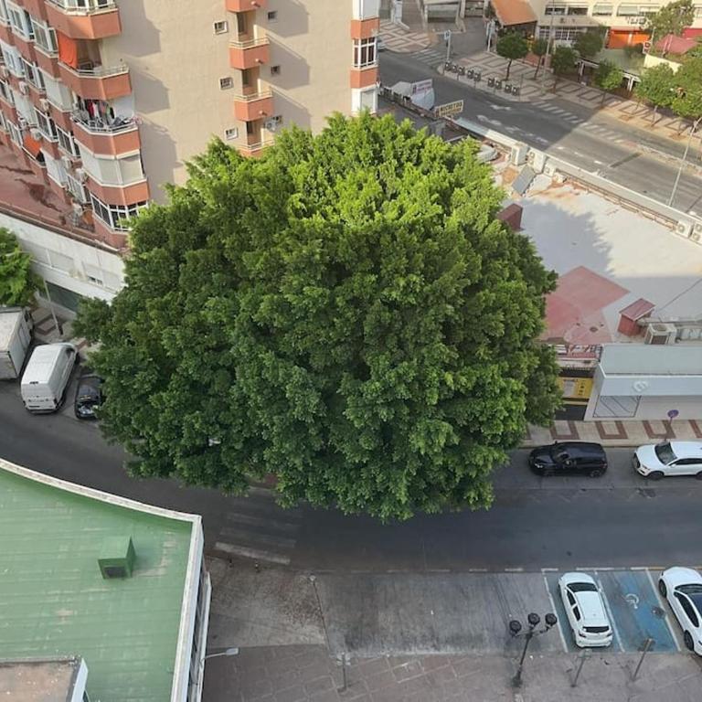 Le Nest City Center Torremolinos - Apartamento de 1 dormitorio - 11