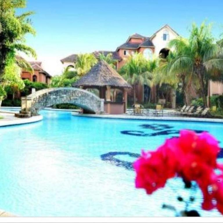 Precioso departamento ejecutivo con piscina y jacuzzi - Apartamento de 1 dormitorio - 19