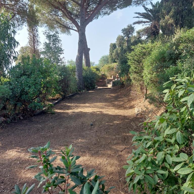 Villa Serenite - Villa - 42
