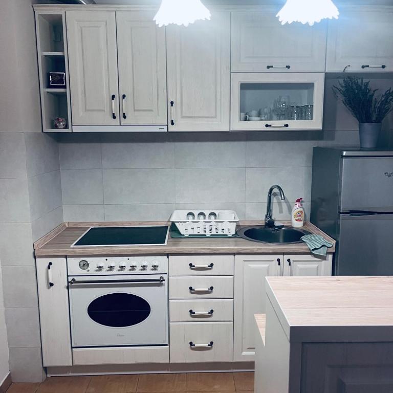 Iconic apartment - Apartman sa 1 Spavaćom Sobom - 11