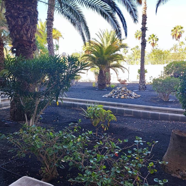Nice cozy apartment near the dunes - Apartamento de 1 dormitorio - 47