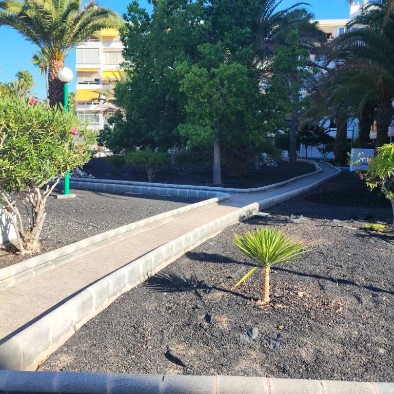 Nice cozy apartment near the dunes - Apartamento de 1 dormitorio - 53
