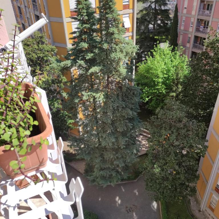Oasi Ridolfi - Apartment mit 1 Schlafzimmer - 32