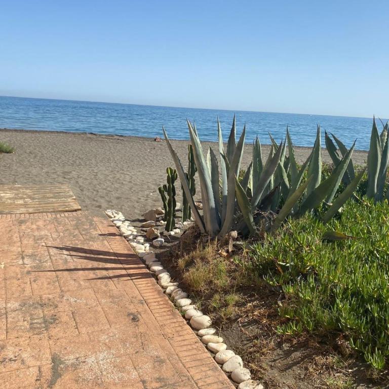 Apartamento Estudio Playa Beach - Apartamento Estudio - 1 cama doble - 47