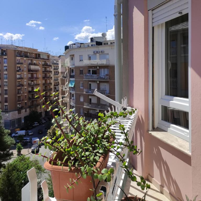 Oasi Ridolfi - Apartment mit 1 Schlafzimmer - 33