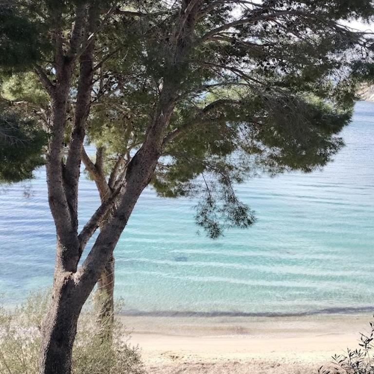 Exceptional appartment right on the beach - Apartamento de 3 dormitorios con vistas al mar - 11