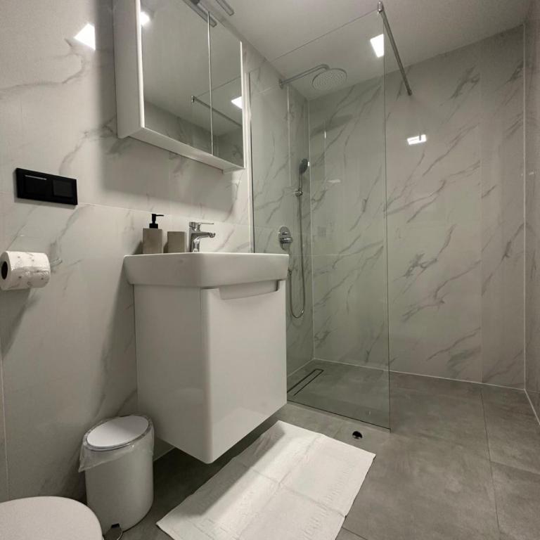 BLUE SKY Apartments - Dvokrevetna Soba sa Bračnim Krevetom i Sopstvenim Kupatilom - 1