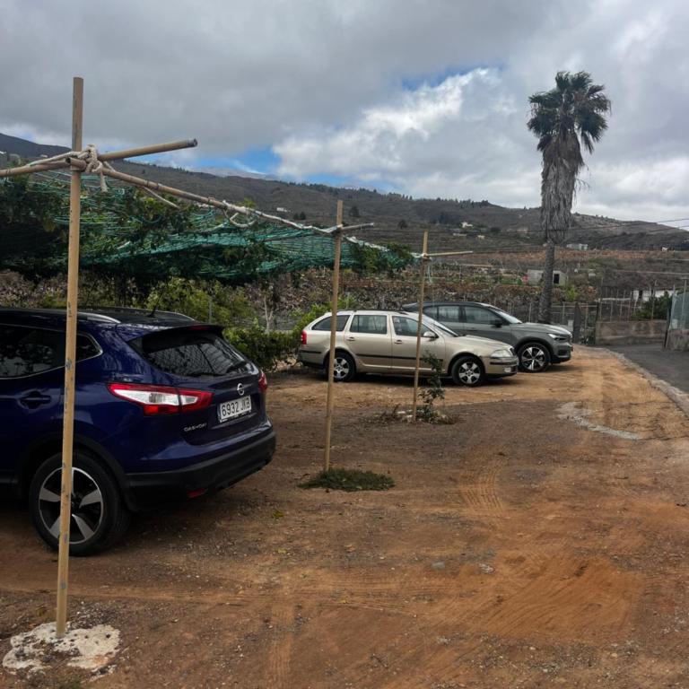 Tantulia la casita del Caballo - Apartamento de 1 dormitorio - 27
