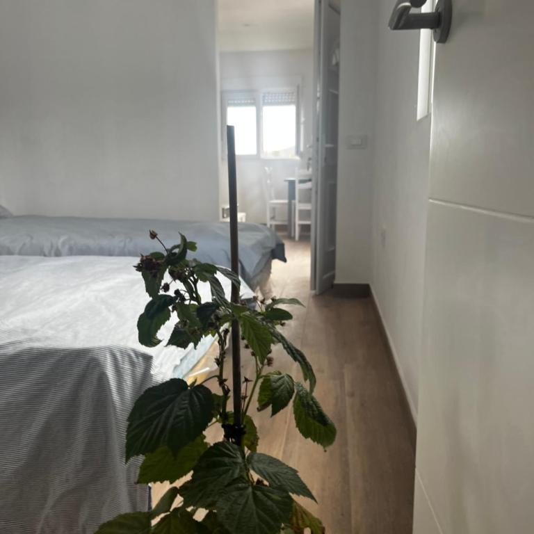 Tantulia la casita del Caballo - Apartamento de 1 dormitorio - 31