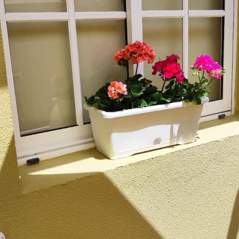 Amazing bungalow en Maspalomas - Two-Bedroom House - 19