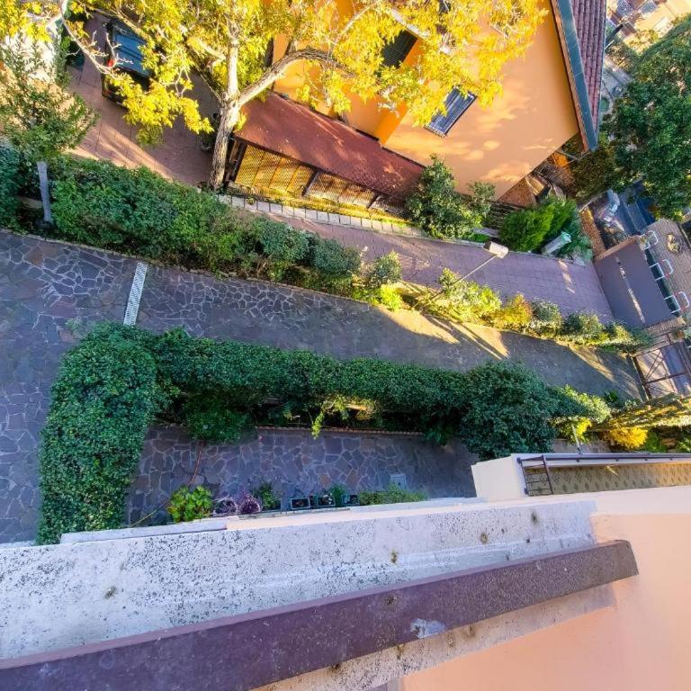 Pictadomus-viridis - Appartement 1 Chambre - 22