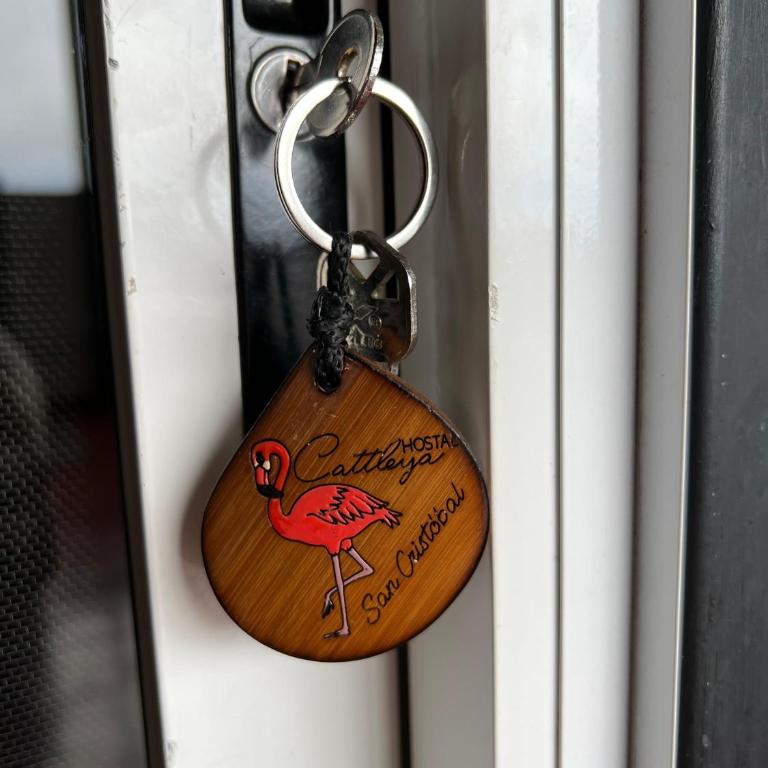 Hostal Cattleya - Habitación Doble Deluxe - 1 o 2 camas - 6