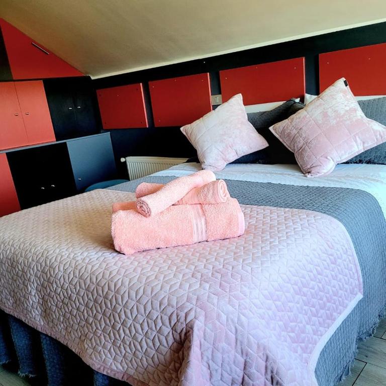 Habitaciones Dobles Valdivia, Isla Teja - Double Room - 12