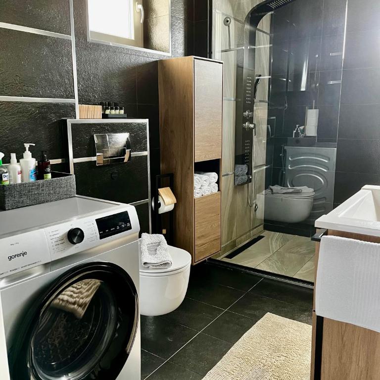 Apartment Black Diamond - Vracar, Belgrade - Apartman sa 2 Spavaće Sobe - 13