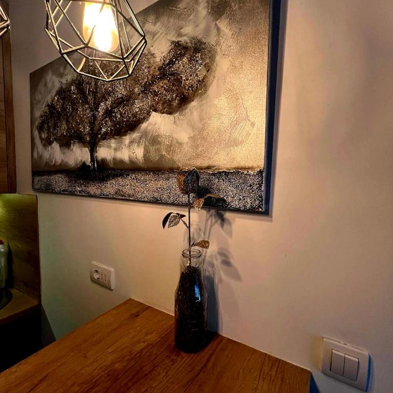 LUX Apartment A&M Netflix - Apartman sa 1 Spavaćom Sobom - 8