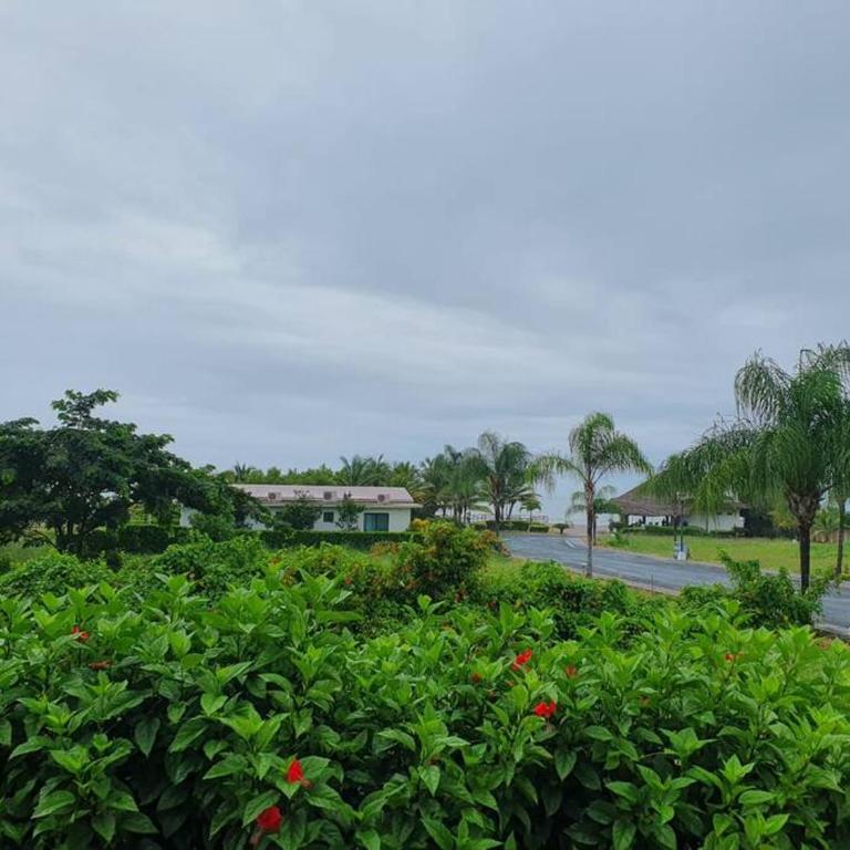 Apartamento en jama - One-Bedroom Apartment - 21