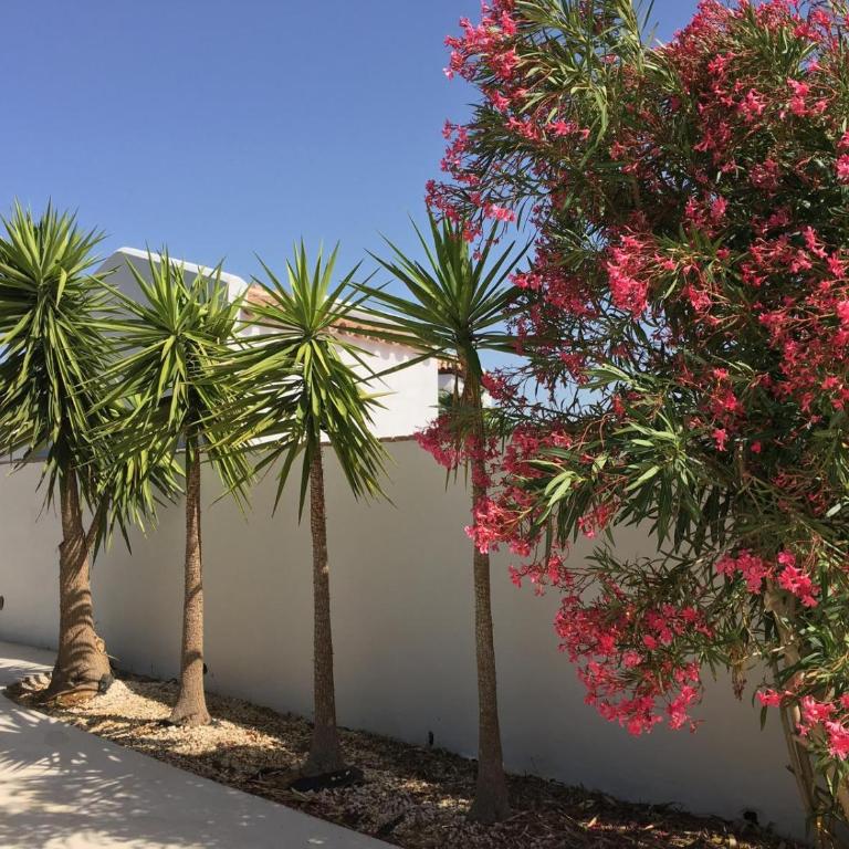 Casa Rural Elena solo familias y parejas - Casa de 2 dormitorios - 6