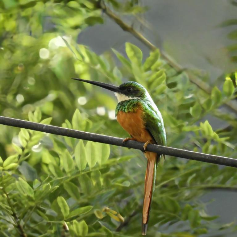 El Eden Minca - Double Room - 17