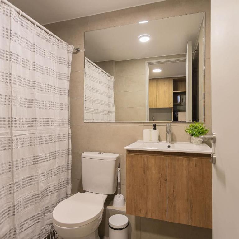Descubriendo Santiago Studio con Estilo - Apartamento - 16