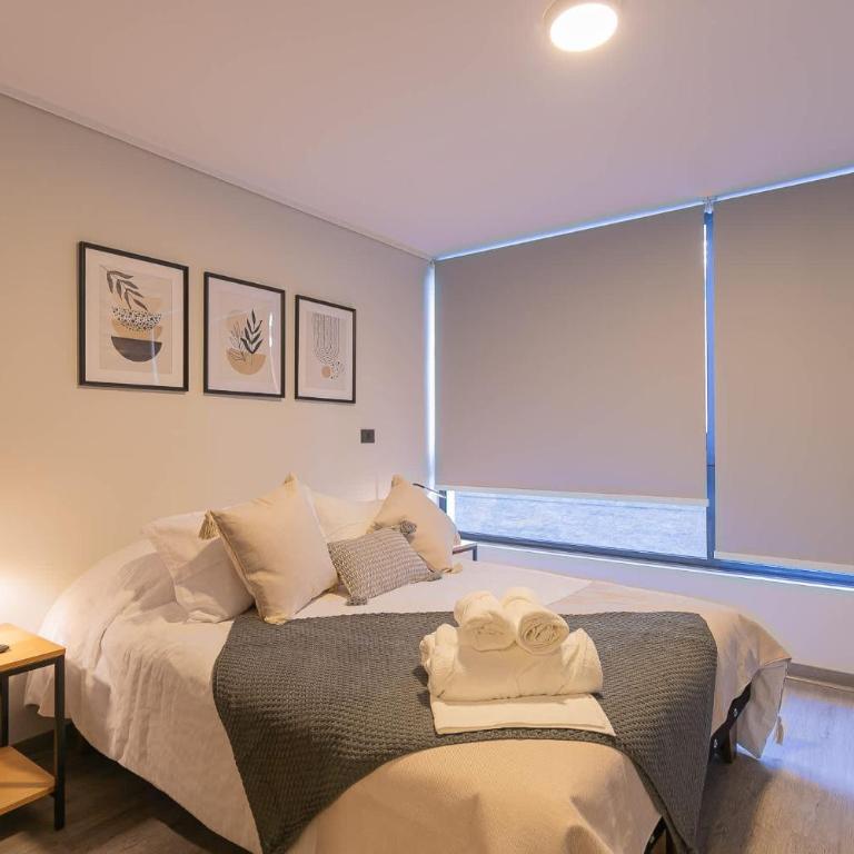 Descubriendo Santiago Studio con Estilo - Apartamento - 13