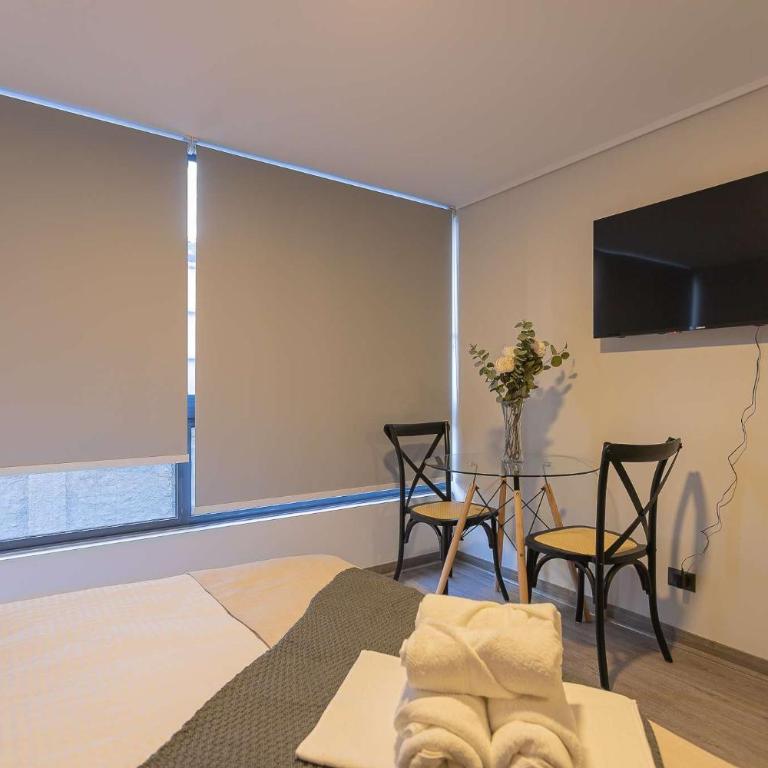 Descubriendo Santiago Studio con Estilo - Apartamento - 15