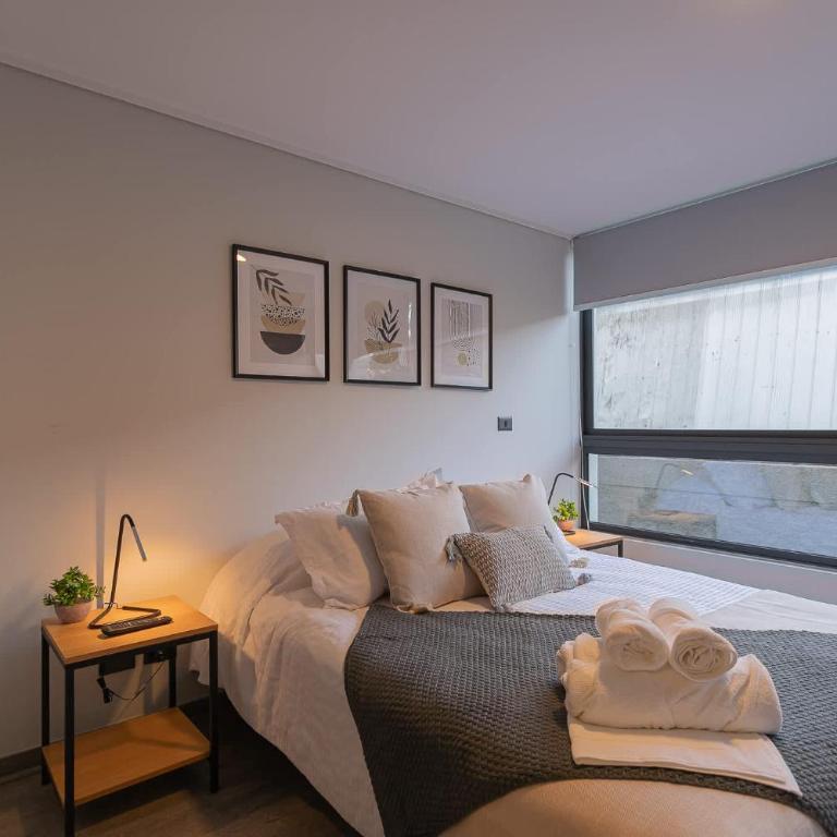 Descubriendo Santiago Studio con Estilo - Apartamento - 18