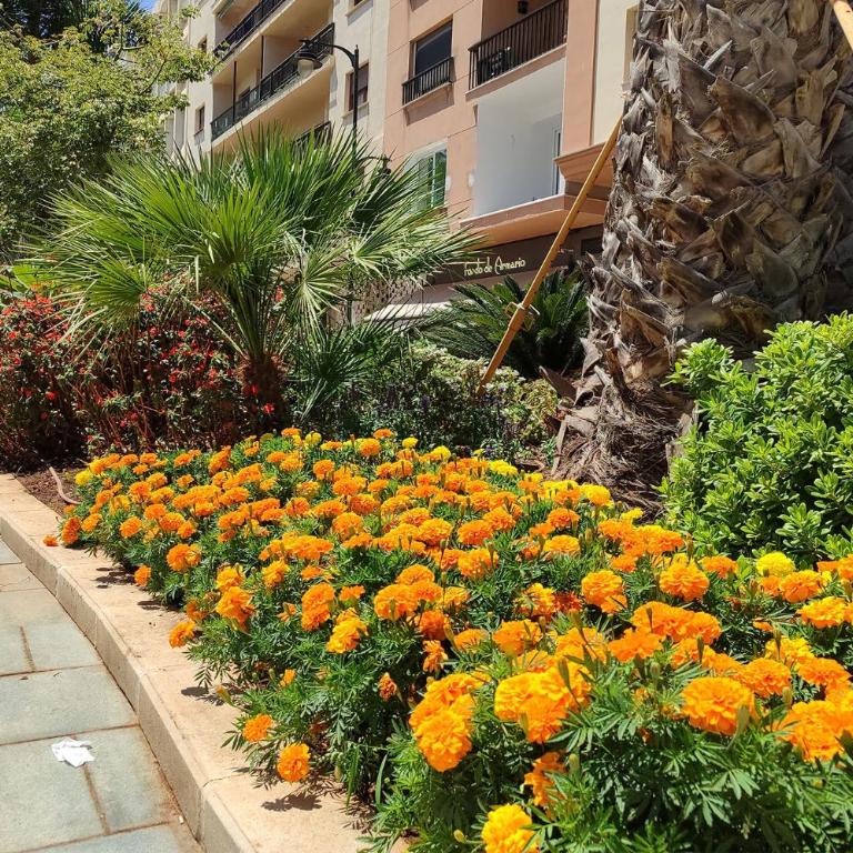 Edificio Jardín - Apartamento de 1 dormitorio - 27