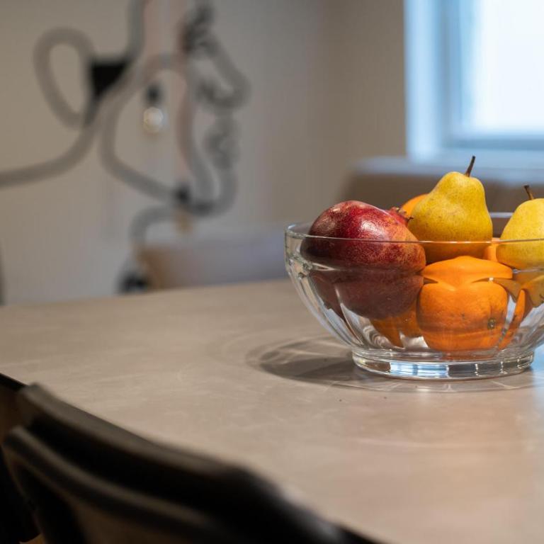HostGost Selected Suites - Skadarlija Artisan - Apartman sa 1 Spavaćom Sobom - 41