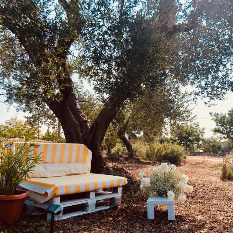 Trullo Trilli Puglia - Casa con 1 Camera da Letto - 5