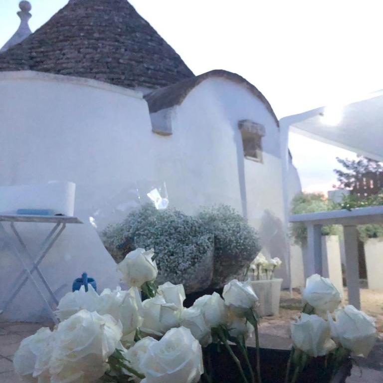 Trullo Trilli Puglia - Casa con 1 Camera da Letto - 1