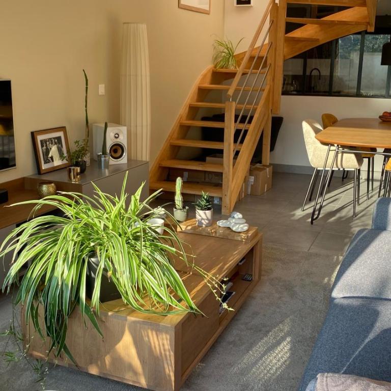 La Douceur Tourangelle - Apartment mit 1 Schlafzimmer - 8
