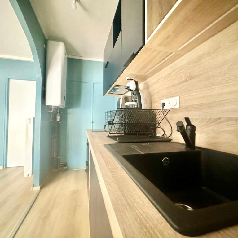 Le Palmier Doré, central et élégant - Appartement 1 Chambre - 12