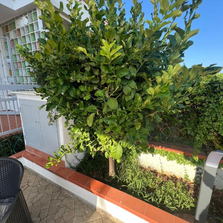 Mondello Tolomea guest house - Appartamento con 2 Camere da Letto - 21