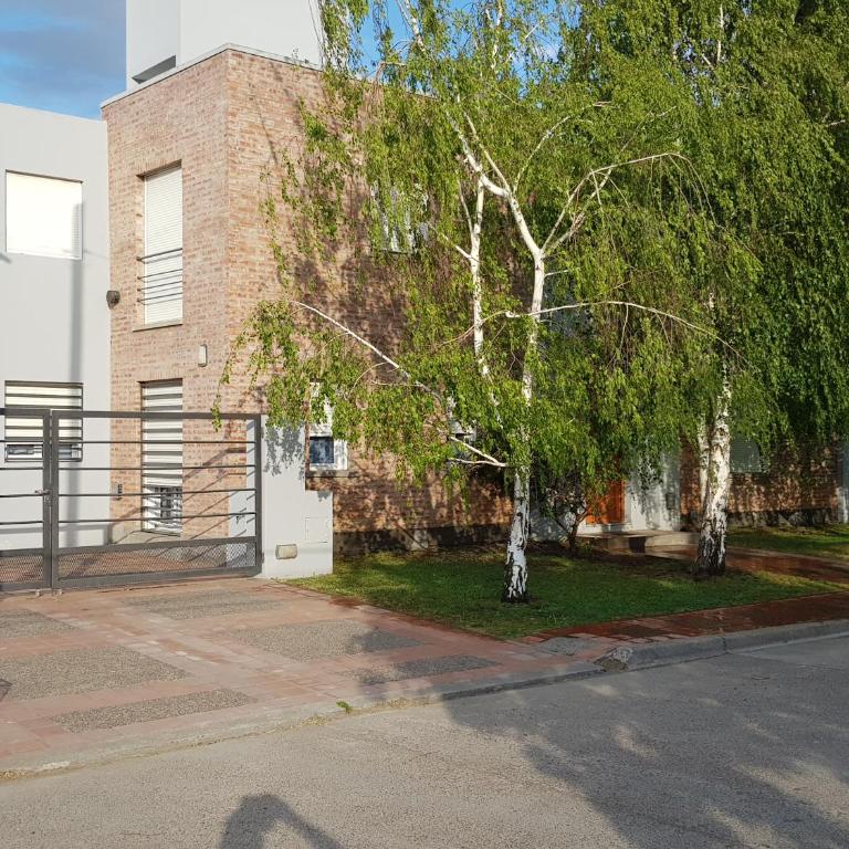 Departamentos Alsina 1 - Apartamento de 1 dormitorio - 5