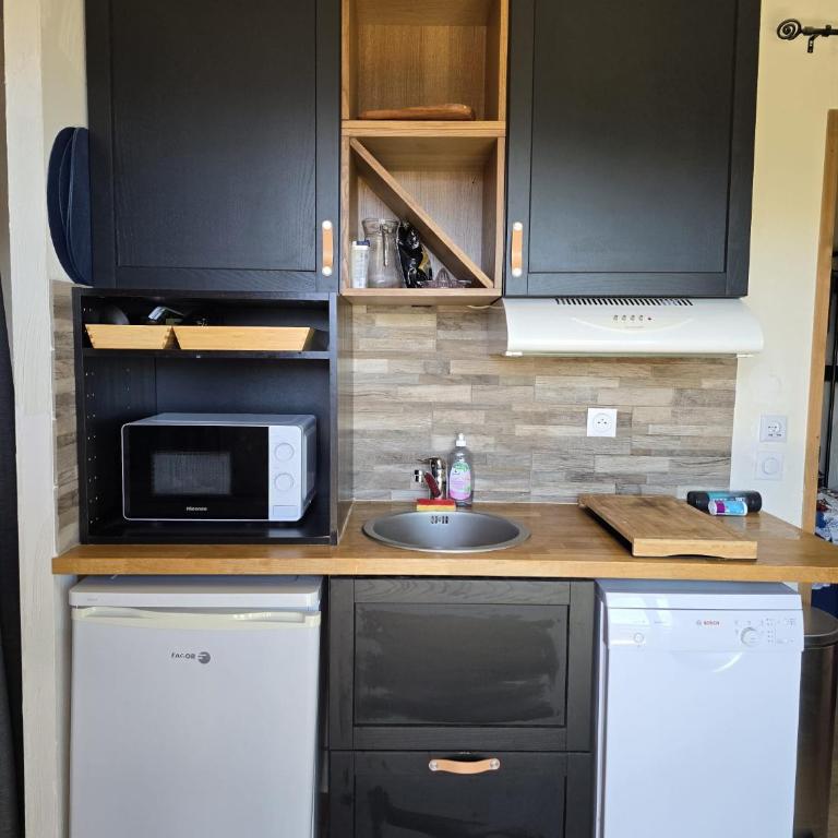 Super appart Risoul Alpes du Sud - Appartement 1 Chambre - 8
