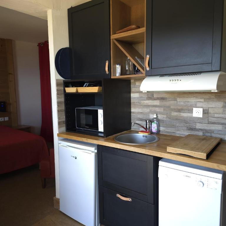 Super appart Risoul Alpes du Sud - Appartement 1 Chambre - 9