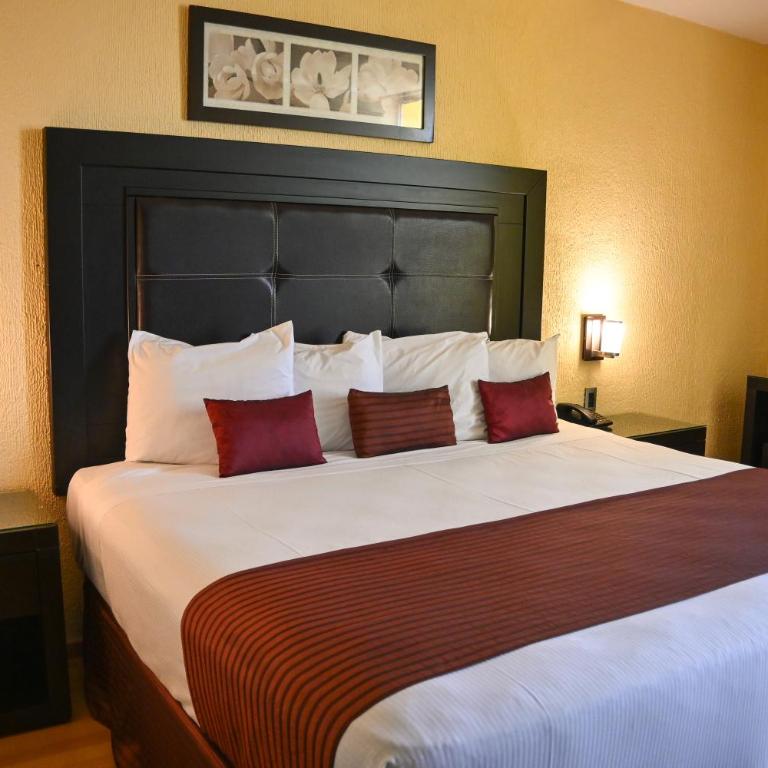 Hotel Santa Irene Guadalajara - Estudio con cama extragrande y sofá cama - 1
