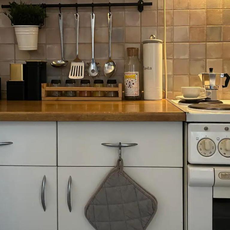 Dorćol apartment - Apartman sa 1 Spavaćom Sobom - 6