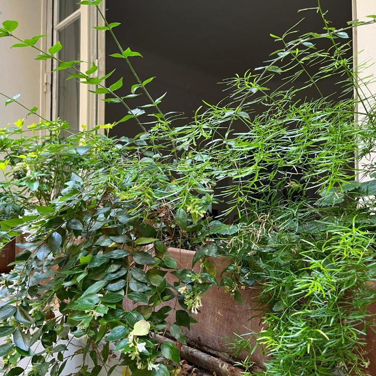 Comme une petite maison - Appartement 2 Chambres - 4