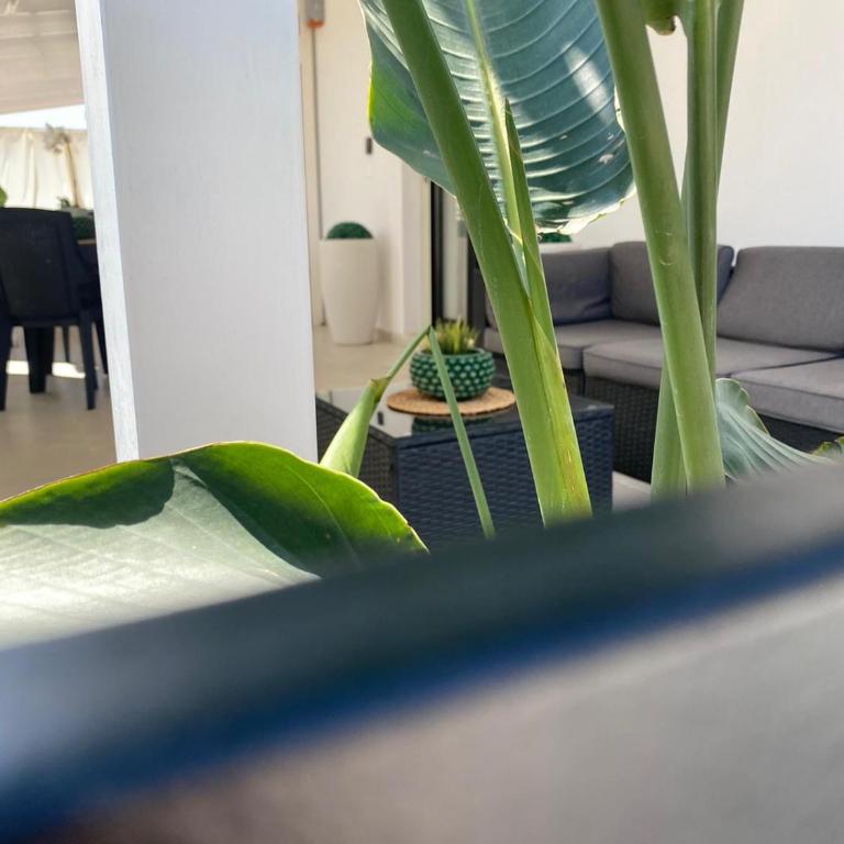 Villa Gioia - Appartamento con 1 Camera da Letto - 31