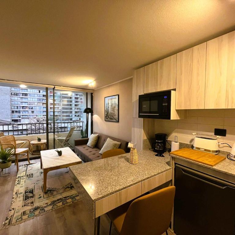 HOM I Inmejorable y Luminoso Depto 1D1B 2PAX Santiago - Apartamento - 2