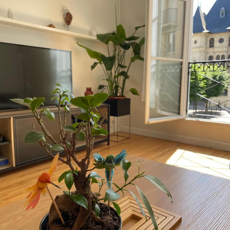 Charmant appartement hyper centre - Apartment mit 1 Schlafzimmer - 6